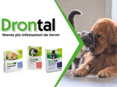 Drontal